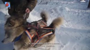 LIVE: Пятый Канский (5К)