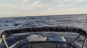 ВОЛНЕНИЕ НА ЛАДОГЕ