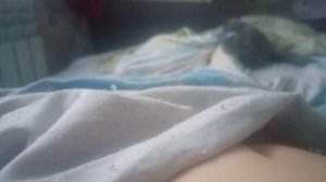 кот грызëт ногу