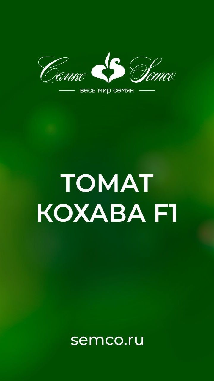 493. Томат Кохава