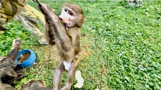 Я СМЕЮСЬ С АНФИСЫ ДО УПАДУ! А Денис рассказывает о нашем распорядке дня и его ПРЕДСТОЯЩЕЙ ГОЛОДОВКЕ! смотреть онлайн