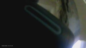 Путёвка обратно в качестве новогоднего подарка для мигрантов