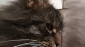 в описание!!!!