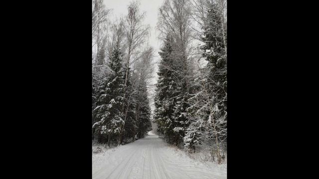 Тимур Кабиров «С Новым годом»