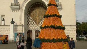 В Абхазии подходит к концу фестиваль "Мандарин"