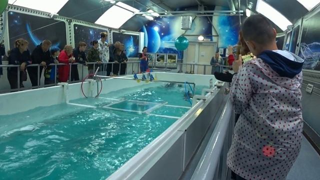 Листвянка Нерпинарий-14.08.2024год.