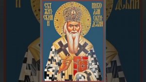 Миссионерские письма, Письмо 126. Пенсионеру П. Н., о необычном видении - святитель Николай Сербский