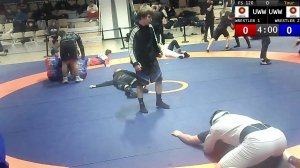 ЦФО Воронеж Ковер А Финал