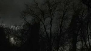 Сколько нам отведено..