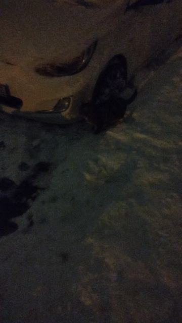 PXL_20260110_072915813