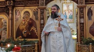 Проповедь иерея Александра Пржегорлинского 10.01.2026г