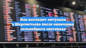Как выглядит ситуация в Шереметьево после окончания сильнейшего снегопада