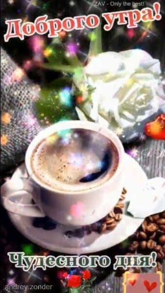 Доброе утро!) Чудесного дня!) #доброеутро смотреть онлайн