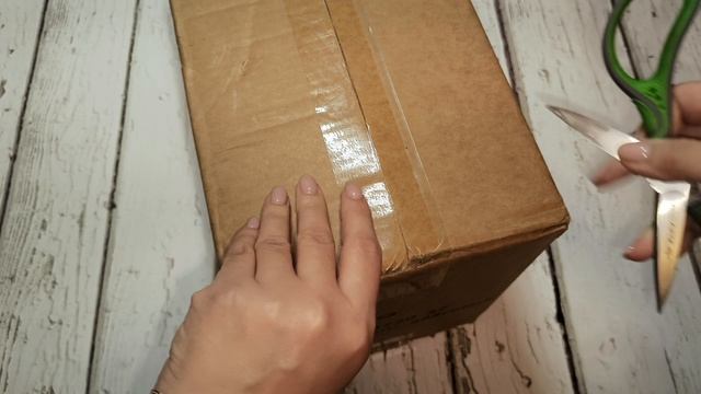 Снегопад 8-9 января. Циклон "Фрэнсис". Арт-материал. Мысли вслух. смотреть онлайн