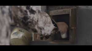 Безумное Воспоминание (Crazy Recall 2023) Пересказ Фильма