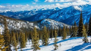 Что известно о проишествии на Шерегеше. Кафе Грелка