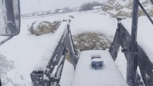 работаем по хозяйству животноводство