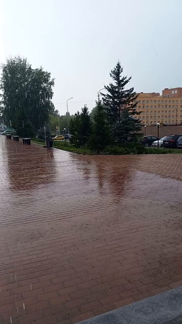 08.08.2024г г. Новосибирск Академгородок ул. Николаева 12 Технопарк