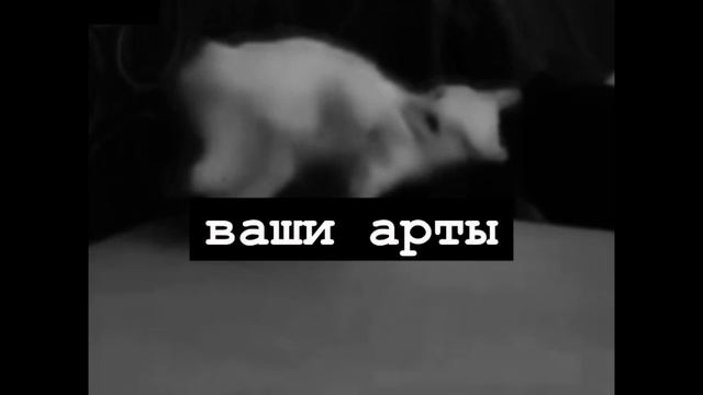 Выж мои сладкие♡ смотреть онлайн