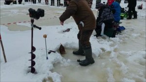 Работают и блёсны, и раттлины. Клёвое место, Лосиный остров, нижний водоём.