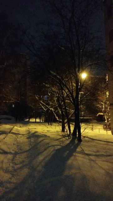 PXL_20260110_073100844