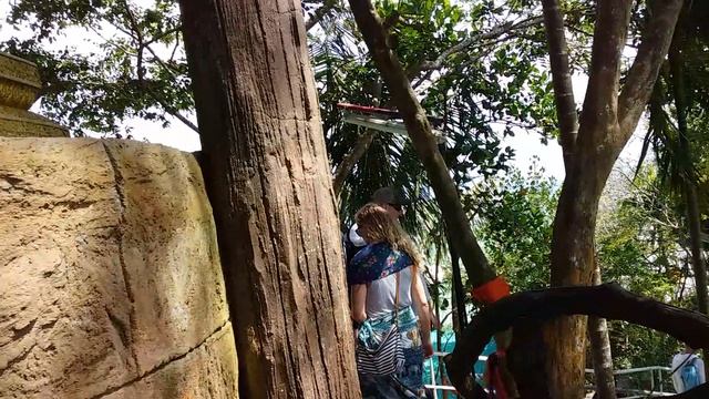 20181206_112634 тай