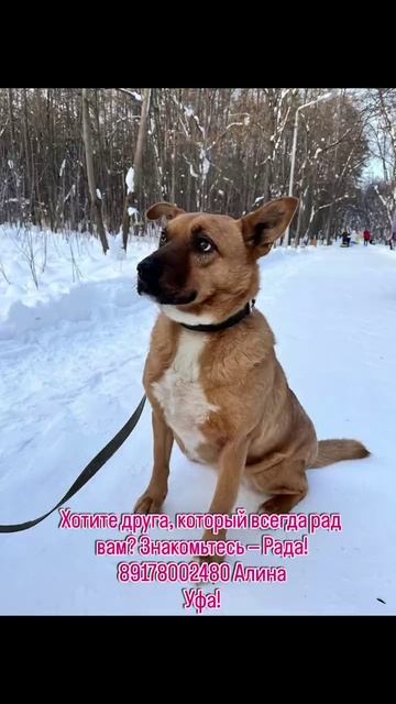 Рада ждёт того, кто станет её семьёй…

Посмотрите в эти глаза — в них столько надежды и тепла.