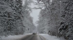 Власти организовали ПВР для застрявших в пробке из Переславля в Москву