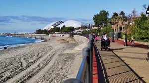 Сириус, ноябрь 2020 г.