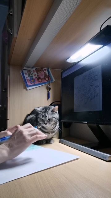 Серьёзный разговор, с собеседником, который выслушает тебя всегда!
#Тренируюсь✏️ #повышаюнавык #серь