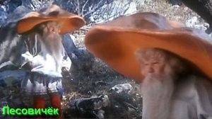 Учение о зарождении и эволюции Тонких Тел