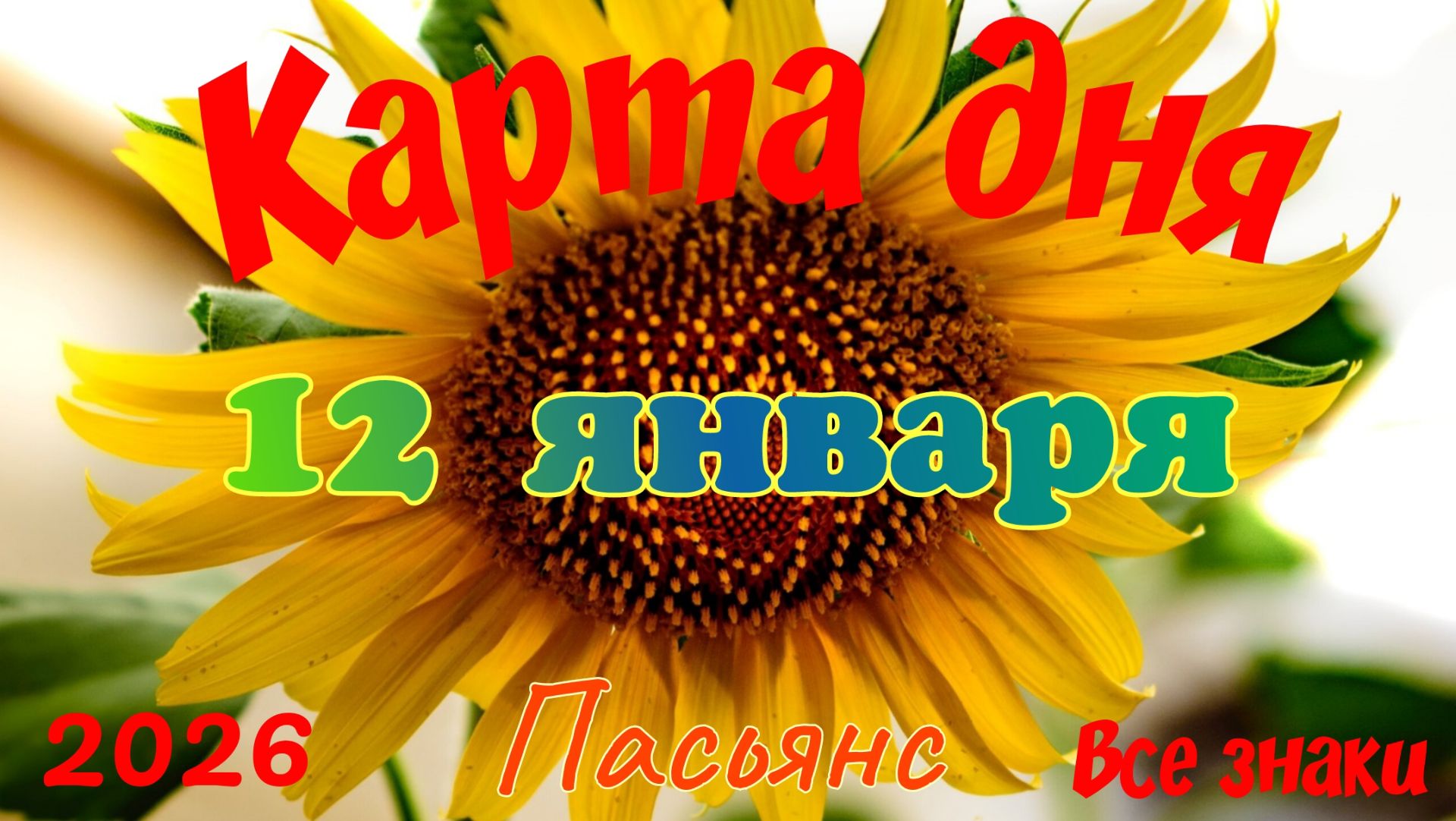 Карта дня❄12 января🎄☃️Пасьянс. Тайм-код в описании🦢