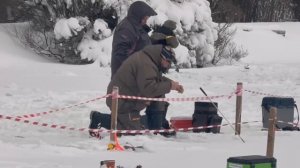 Форель берёт без капризов