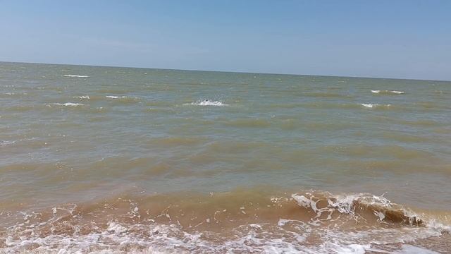 СЕРЕГА КУПАЕТСА В МРЕ смотреть онлайн