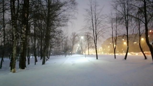 Ночные огни зима СПб 2026