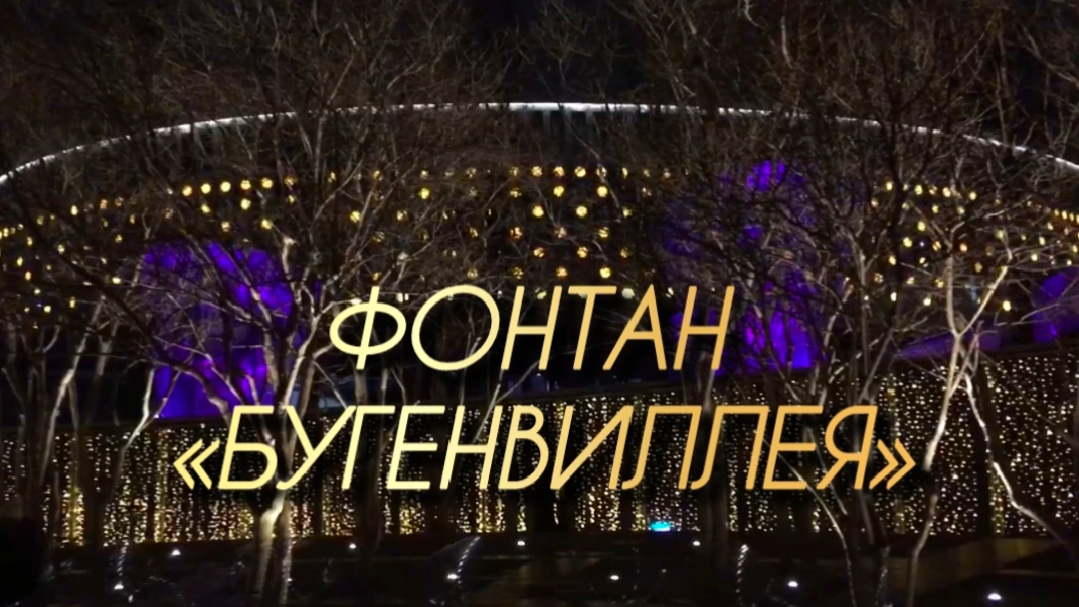 Новогодний Краснодар. Фонтан «Бугенвиллия» в вечерней подсветке✅ смотреть онлайн