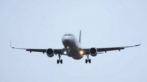 Из-за погоды самолетам запретили садиться в Шереметьево