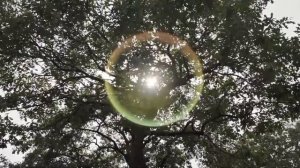 Ersin AVCI Remix's Video (Electro)