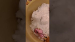 снег в лолтаун