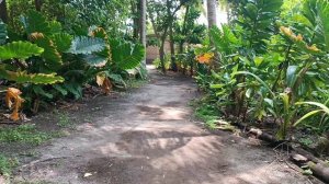 Вход на пляж, Камаду, Мальдивы, январь 2026 (Entering the Beach, Kamadhoo, Maldives, Jan 2026)