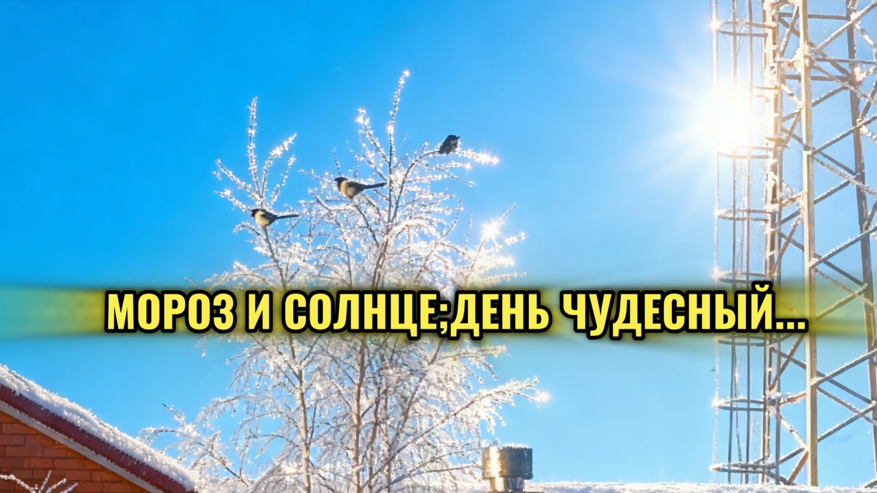 Мороз и солнце; день чудесный... ☀️ ❄️🎄 смотреть онлайн