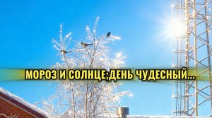 Мороз и солнце; день чудесный... ☀️ ❄️🎄