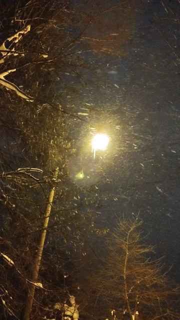 PXL_20260110_073200589