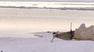 Охота в Тикси.