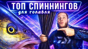 ТОП СПИННИНГОВ для ЛОВЛИ ГОЛАВЛЯ 🔥👍 ЛУЧШИЕ МОДЕЛИ из МОЕЙ КОЛЛЕКЦИИ