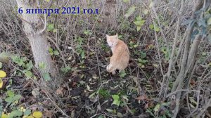 Видеоблог: Один из дней города Евпатории 6 января 2021 года  | ХАН БАТОН