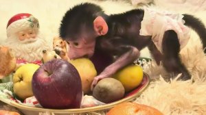 Для Николь Влад сделал СКАТЕРТЬ САМОБРАНКУ