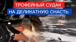 ЭТА СНАСТЬ работает ВСЕГДА! ЛОВЛЯ СУДАКА на ЖЕРЛИЦЫ ЗИМОЙ. ЗИМНИЕ ЖЕРЛИЦЫ.