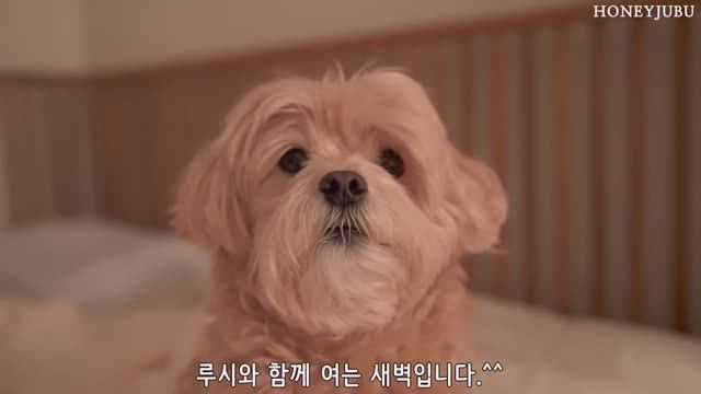 Подъем в 5 утра  10 домашних блюд, ланч-бокс мужа