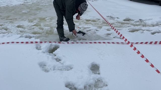 Поимка форели. Вип зона. смотреть онлайн